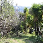 Rez De Avec Beau Jardin Et Belle Vue