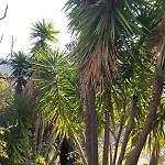 Rez De Avec Beau Jardin Et Belle Vue Prázdninový dům *