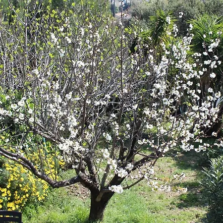 Holiday home Rez De Avec Beau Jardin Et Belle Vue Saint-Laurent-du-Var