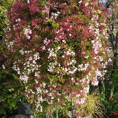 Rez De Avec Beau Jardin Et Belle Vue