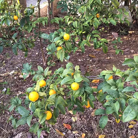 Prázdninový dům Rez De Avec Beau Jardin Et Belle Vue *