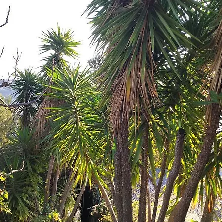 Rez De Avec Beau Jardin Et Belle Vue Holiday home *