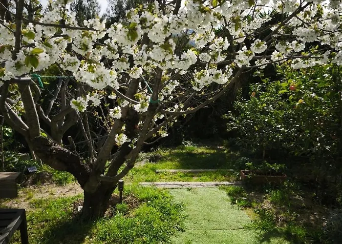 Rez De Avec Beau Jardin Et Belle Vue * Saint-Laurent-du-Var