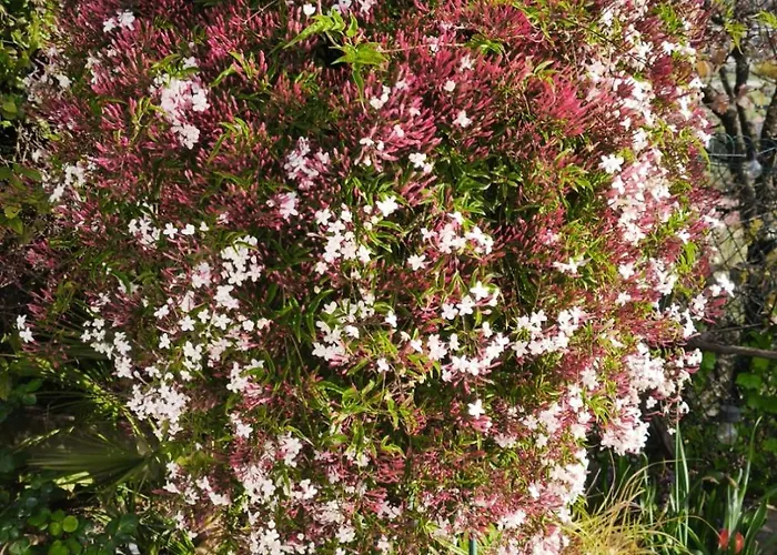 Rez De Avec Beau Jardin Et Belle Vue
